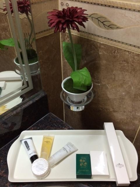 도하 다이너스티 호텔 객실 사진
